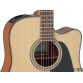 TAKAMINE GD10CENS