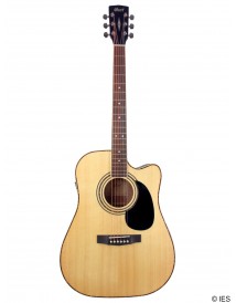 CORT AD880CE NATURAL GLOSS