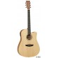 TANGLEWOOD TWR2 DCE