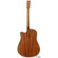 TANGLEWOOD TWR2 DCE