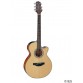 TAKAMINE GF15CE NAT GLS TP4 TD