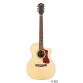 GUILD OM-240 CE