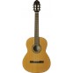 EKO GUITARS VIBRA 200 NATUREL