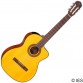 TAKAMINE GC3CE-NAT