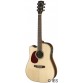 CORT MR710 F