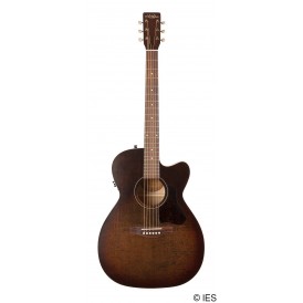 ART & LUTHERIE LEGACY BOURBON BURST