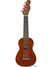 FENDER VENICE