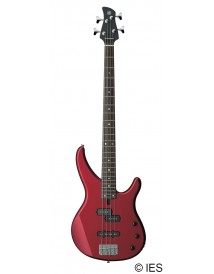 YAMAHA TRBX 174 RM