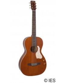 ART & LUTHERIE ROADHOUSE BROWN Q-DISCRET