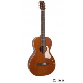 ART & LUTHERIE ROADHOUSE BROWN Q-DISCRET
