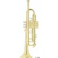 BACH STRADIVARIUS LR180ML 37/25