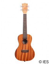 KALA KA-15 MAHOGANY CONCERT AVEC HOUSSE