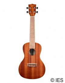 KALA KA-C SATIN MAHOGANY CONCERT AVEC HOUSSE