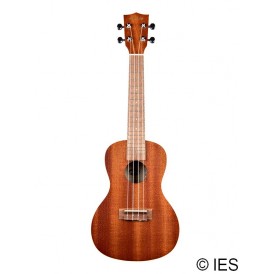 KALA KA-C SATIN MAHOGANY CONCERT AVEC HOUSSE