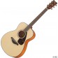 YAMAHA FS800 NT