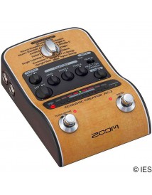 ZOOM AC-2