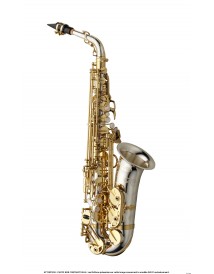 YANAGISAWA A-WO30