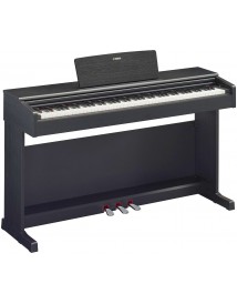 YAMAHA YDP145B