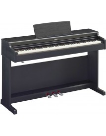 YAMAHA YDP165B