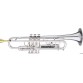GETZEN CAPRI 590SS