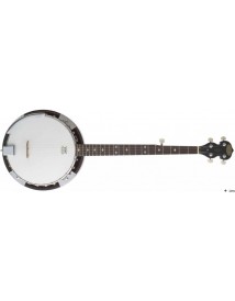 STAGG BJW24 DL