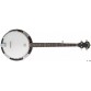 STAGG BJW24 DL