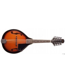 STAGG M20