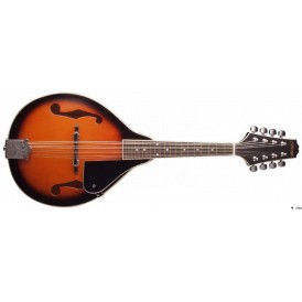 STAGG M20