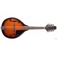 STAGG M20