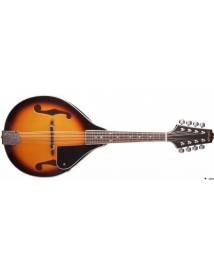 STAGG M20 S