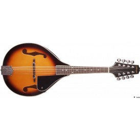 STAGG M20 S