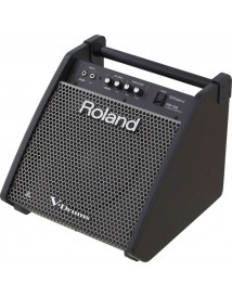 ROLAND PM100