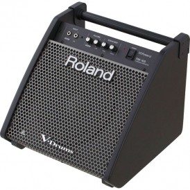 ROLAND PM100