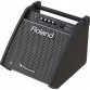 ROLAND PM100