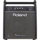ROLAND PM100
