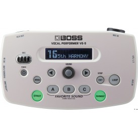 BOSS VE5