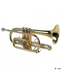 SML CO 50-S