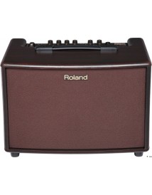 ROLAND AC60RW
