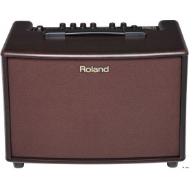 ROLAND AC60RW