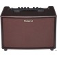 ROLAND AC60RW