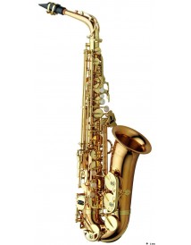 YANAGISAWA A-WO2