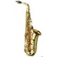 YANAGISAWA A-WO1