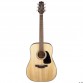 TAKAMINE GD30NAT