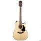 TAKAMINE GD30CENAT