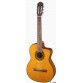 TAKAMINE GC1CENAT