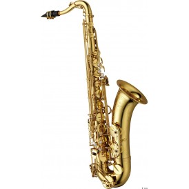 YANAGISAWA TWO10
