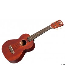ALOHA 20C CONCERT