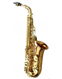 YANAGISAWA A-WO20