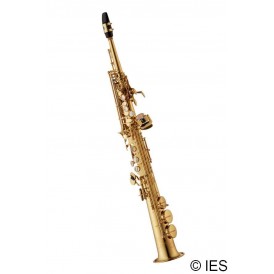 YANAGISAWA SW01