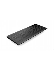 ROLI RISE25